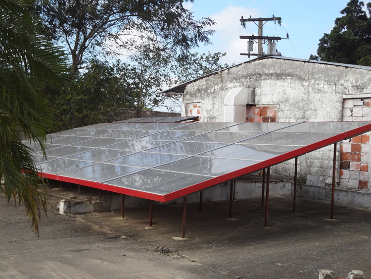 Una mirada a la finca de Plantas medicinales