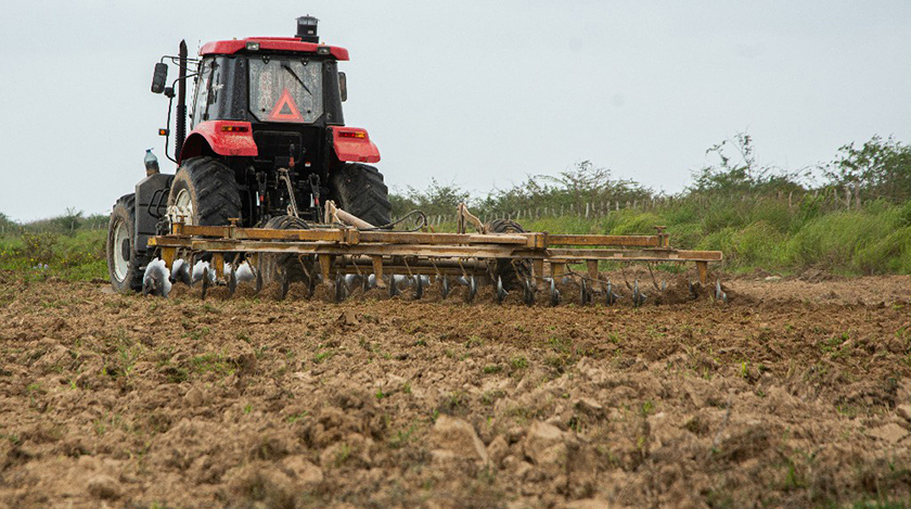 Inician arroceros en Pinar del Río cosecha de la campaña de frío Preparación de tierras para la campaña de primavera del arroz, en áreas de la Cooperativa de Créditos y Servicios 26 de julio de Consolación del Sur, en Pinar del Río