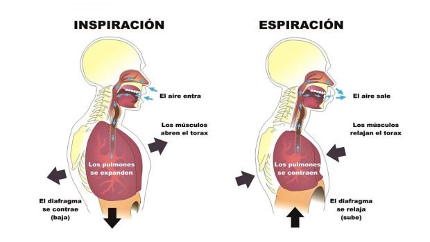 ¿Qué causa el hipo? causa del hipo