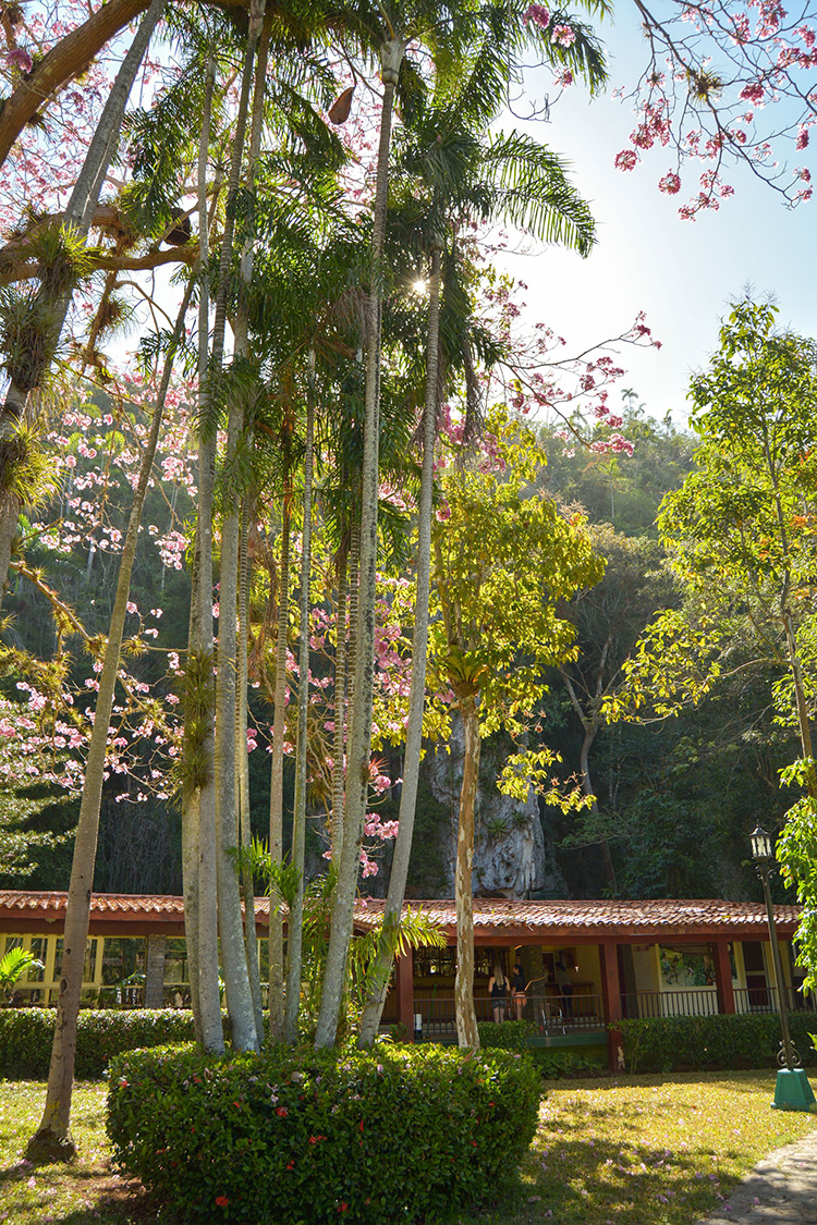 Pinar del Río: perfecta armonía en Rancho San Vicente Una joya en Pinar del Río: Rancho San Vicente