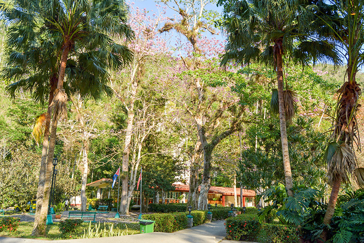 Pinar del Río: perfecta armonía en Rancho San Vicente rancho sanvicente8