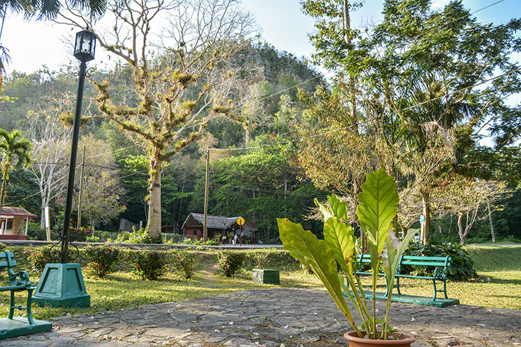 Pinar del Río: perfecta armonía en Rancho San Vicente Una joya en Pinar del Río: Rancho San Vicente