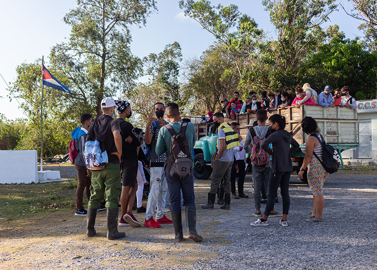 Estrechar en Pinar del Río alianzas entre ciencia y agricultura Hasta la CCS 17 de Mayo llegaron estudiantes universitarios y del IPA Tranquilino Sandalio de Noda / Foto: Jaliosky Ajete Rabeiro