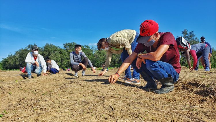 Jornada de celebraciones por la UJC en Pinar del Río trabajo voluntario ujc pinar del rio