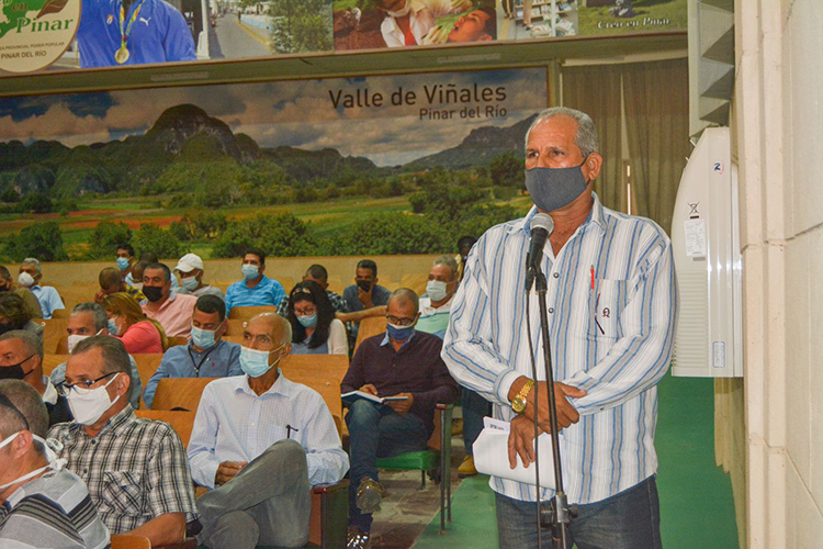 Contratación agropecuaria y entrega de tierras, asuntos pendientes en Pinar del Río visita agropecuaria en Pinar del Rio