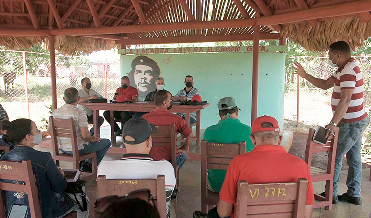 UBPC Las Guerrilleras en Pinar del Río, camino a la transformación En el chequeo efectuado en Las Guerrilleras participaron representantes de las distintas empresas de la agricultura radicadas en el territorio y que también tienen encargo con el desarrollo de esta zona agrícola.
