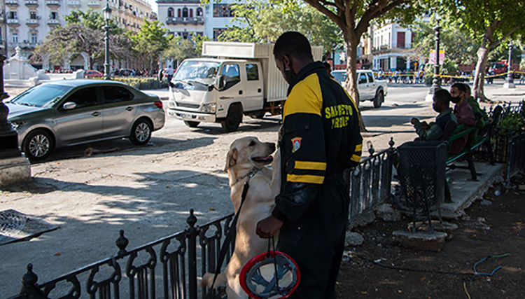 Explosión en el hotel Saratoga: Operación de rescate y salvamento (I) Personal de salvamento y rescate, junto a la brigada canina. Foto: Abel Padrón Padilla/ Cubadebate.