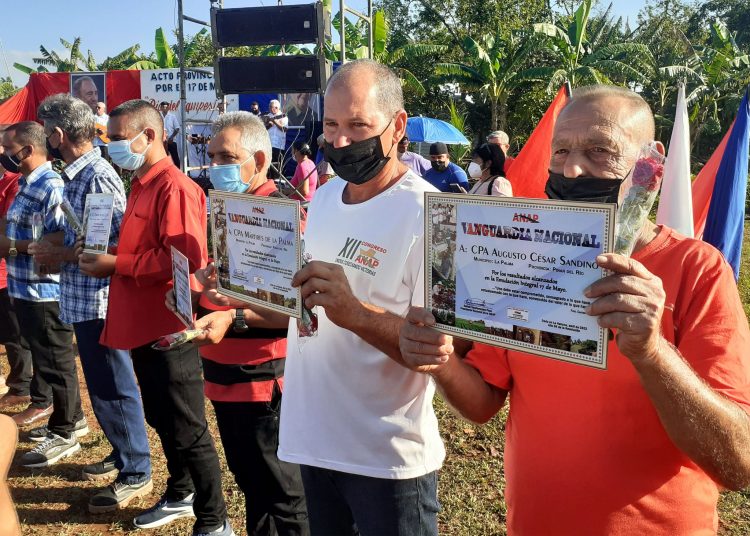 Acoge La Palma acto provincial por Día del Campesino entrega de reconocimientos dia del campesino 2