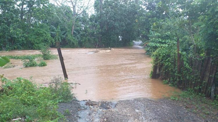 No se reportan en La Palma daños de envergadura Puente del Tejal