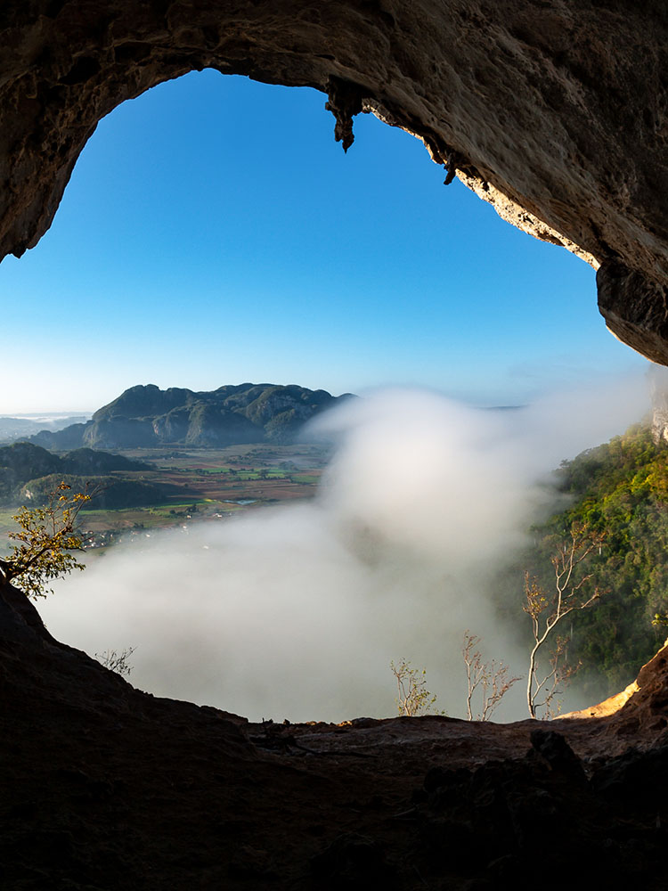 De vital importancia salvaguardar ecosistemas naturales y la diversidad biológica ecosistemas naturales 5