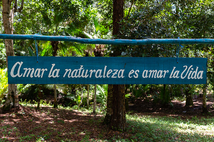 El Cuabal: donde la naturaleza abraza al visitante frase