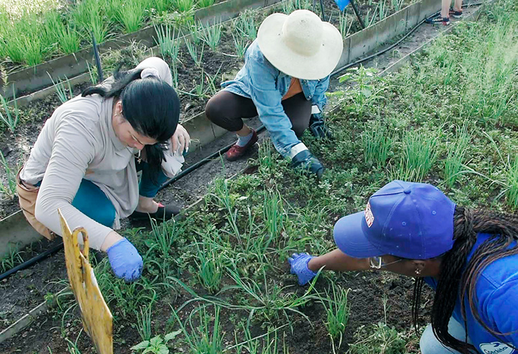 Sostenibilidad y eficiencia para la recuperación en Pinar del Río Adecuar las movilizaciones a la demanda de fuerza laboral, tributa a la eficiencia.