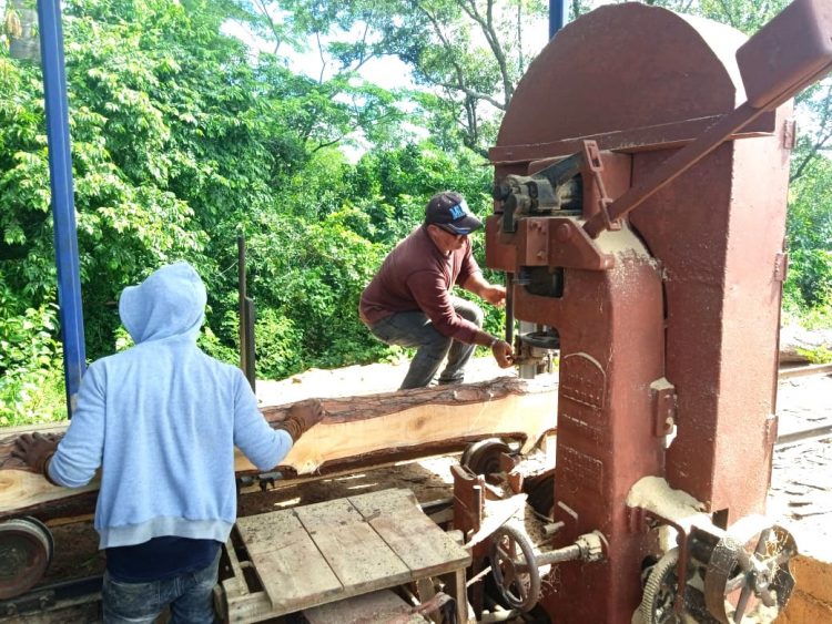 talleres especiales en Pinar del Río