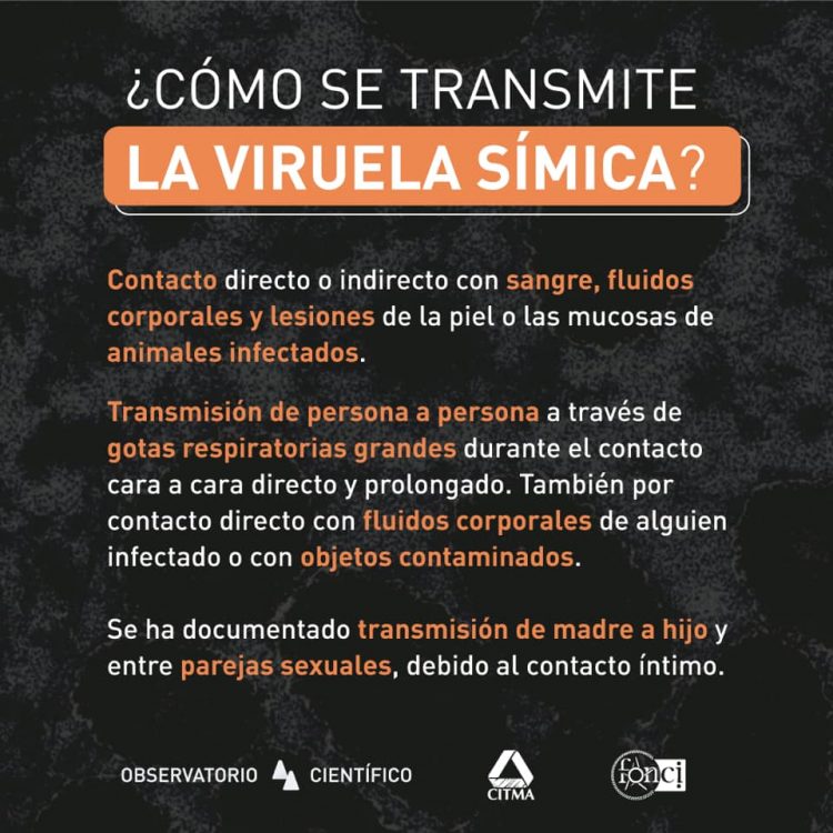 Viruela del mono: una emergencia de Salud transmision de viruela del mono