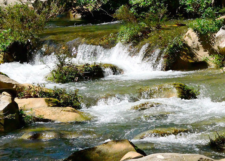 TURNAT 2022 extiende sus brazos a La Palma Un entorno así invita a refrescar: qué tentación