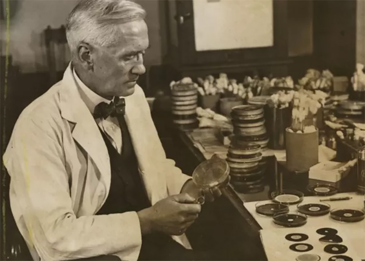 Cuando la sífilis se volvió epidemia La cura definitiva llegó con la penicilina. / Foto: BBC