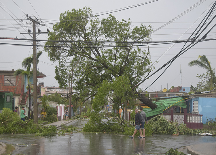 La esperanza florecerá en Pinar del Río La esperanza florecerá