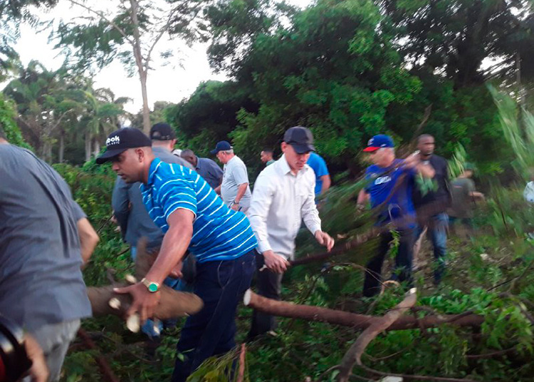 Díaz-Canel en trabajo voluntario en honor al Che Díaz-Canel en trabajo voluntario en honor al Che