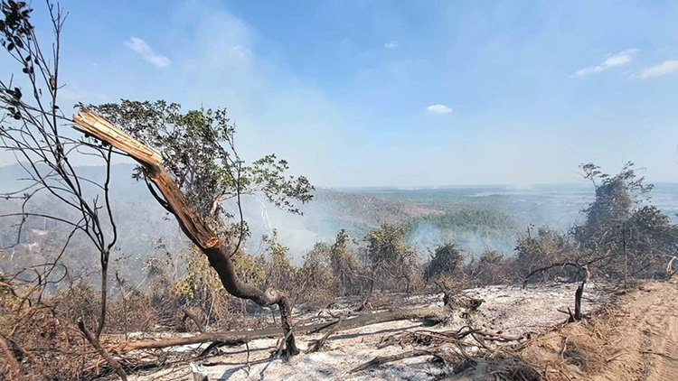 Controlan incendio forestal en Pinar del Río Incendio forestal en Pinar del Río