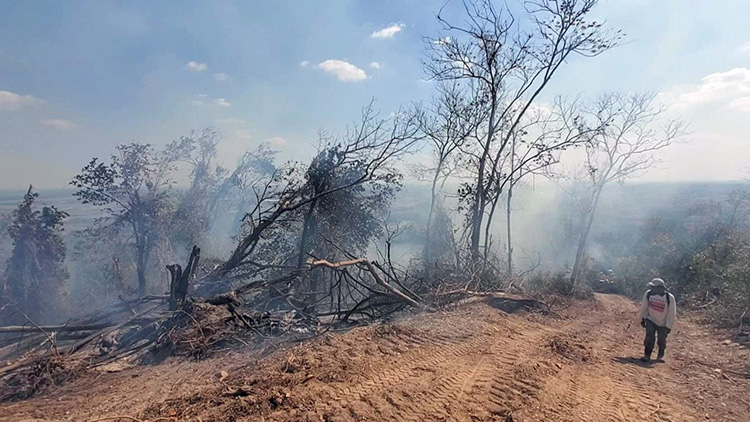Controlan incendio forestal en Pinar del Río Incendio forestal en Pinar del Río