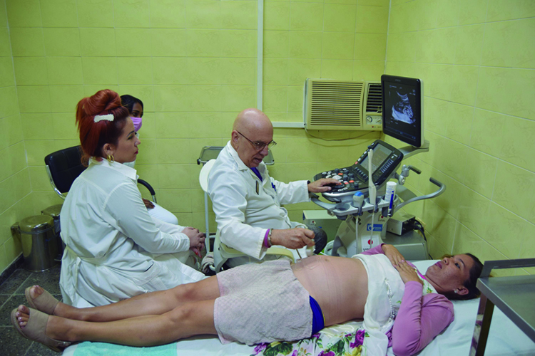 Pinar del Río: acompañar desde la genética Acompañar desde la genética pinar del rio