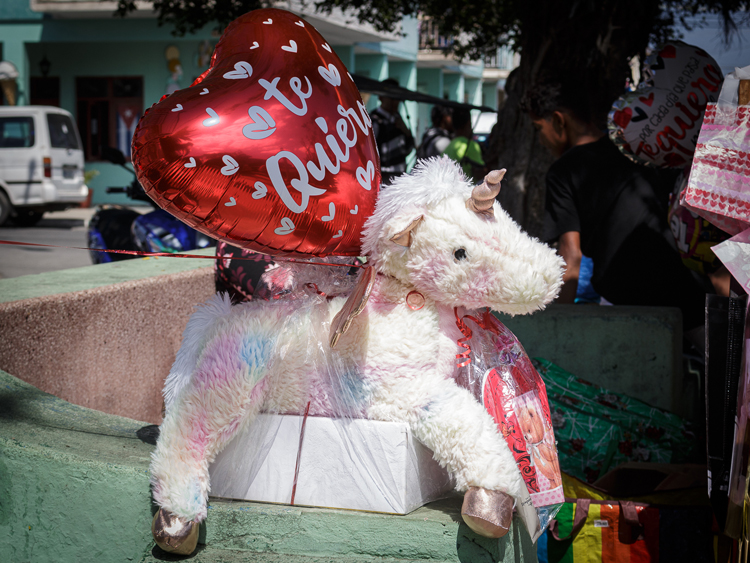 Un día para el amor Un día para el amor