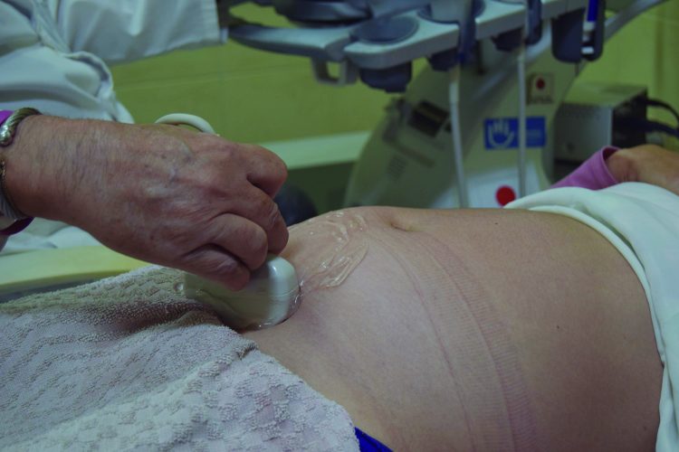Pinar del Río: acompañar desde la genética Acompañar desde la genética pinar del rio