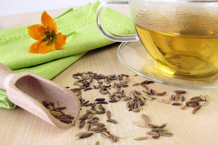 Infusiones, plantas, aromas y sabor (IV) Infusiones de Hinojo