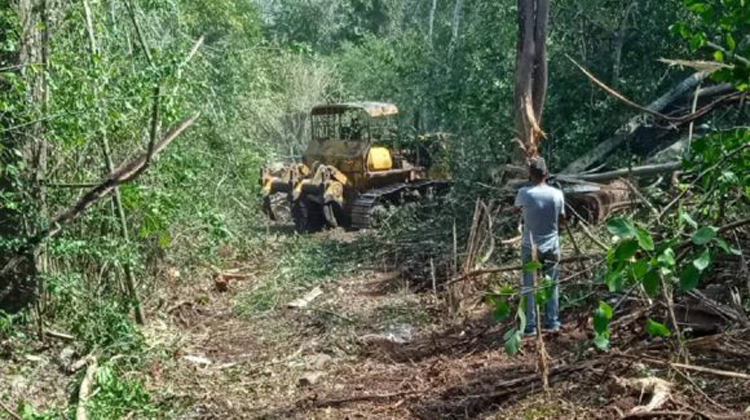 Pinar del Río: Combaten incendio forestal en las inmediaciones del parque nacional La Güira Incendio en Pinar del Rio