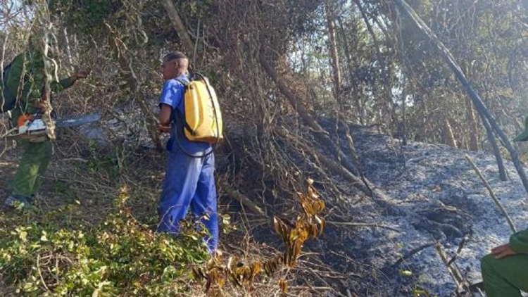 Pinar del Río: Combaten incendio forestal en las inmediaciones del parque nacional La Güira Incendio en Pinar del Rio