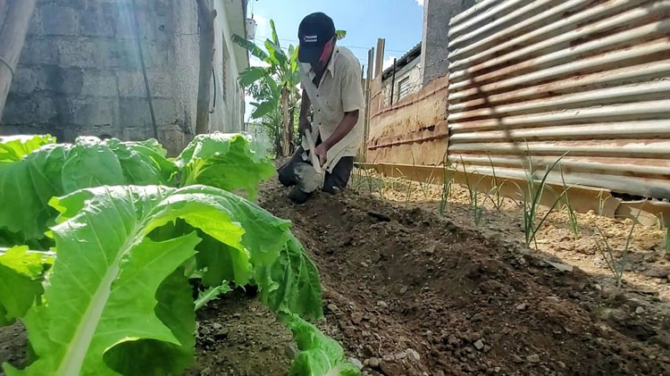 “Mis límites los pongo yo” Mis límites los pongo yo