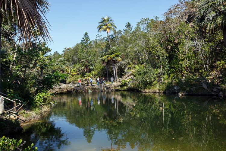 Rocío del Sol 4 Rocio del Sol pinar del rio cuba guerrillero 1620x1080 1