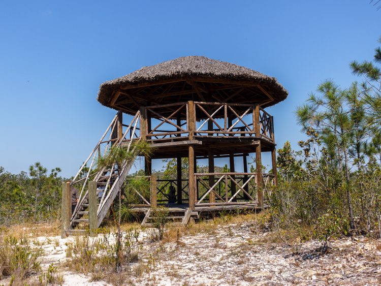 Rocío del Sol 9 Rocio del Sol pinar del rio cuba guerrillero 1440x1080 1