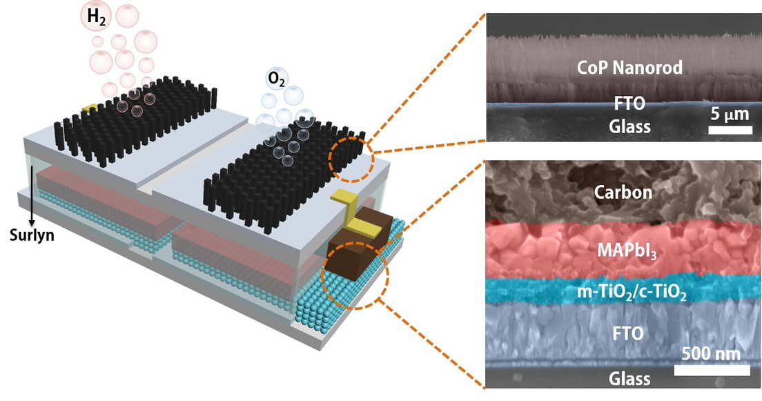 Científicos crean una 'hoja artificial' que produce combustible químico utilizando energía solar Esquema de la estructura del catalizador integrado, alimentado por energía solar, para dividir el agua en combustible de hidrógeno y oxígeno. / Foto: Jia Liang/Universidad de Rice.