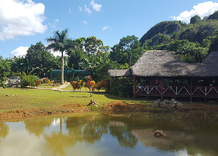 Agroecología al pie del mogote en Pinar del Río Al pie de un mogote se erige un ranchón donde, antes de la pandemia, ofertaban comida tradicional a turistas nacionales y foráneos / Foto: Cortesía de Yosbel Fernández Martínez