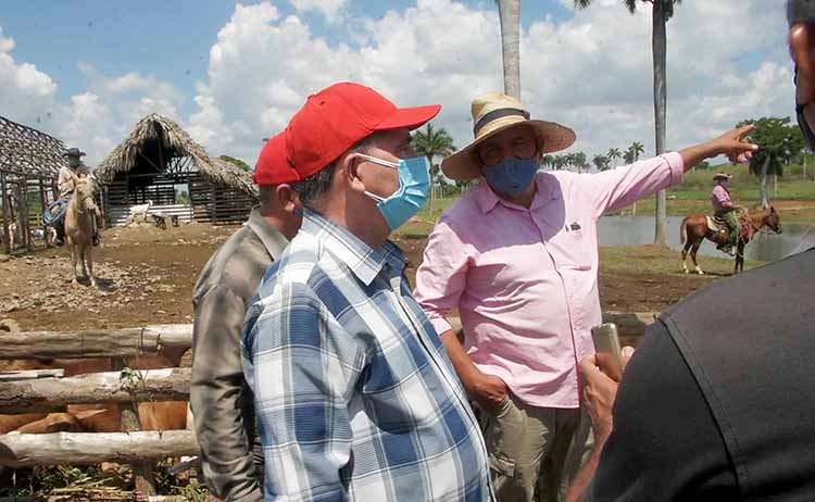 Pinar del Río avanza en programa de autoabastecimiento territorial Luis explica a Monteagudo Ruiz las perspectivas de desarrollo de la finca.