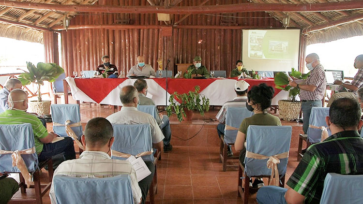 Avanza programa de autoabastecimiento en Pinar del Río, pero no lo suficiente Con la presencia de Jorge Luis Tapia Fonseca, vice primer ministro de la república, se efectuó el chequeo al programa de autoabastecimiento territorial en Pinar del Río.