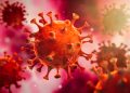 Pinar del Río: Parte de cierre del 5 de junio a las 12 de la noche Coronavirus en Pinar del Río, Cuba