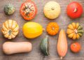 ¿Conoces los tipos de calabaza que existen? Calabazas