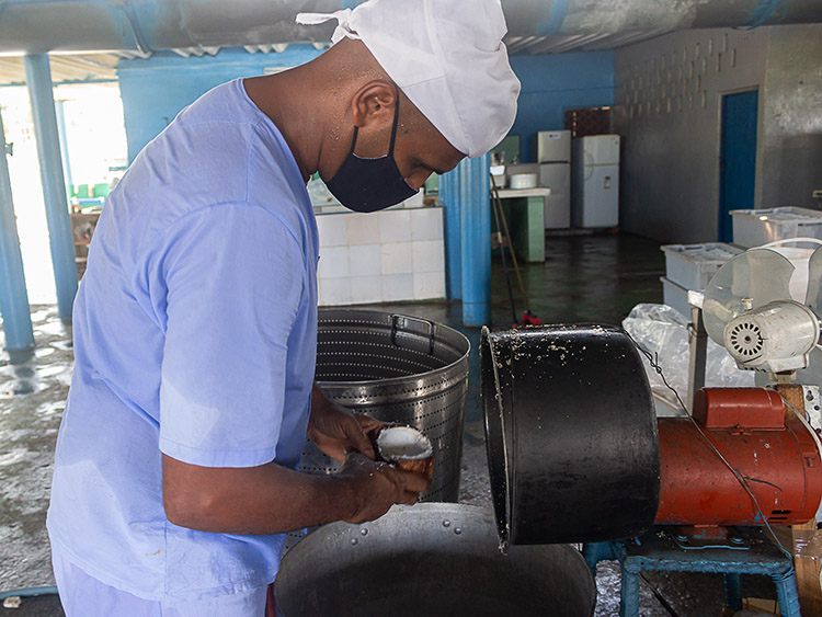 Sol Guamá en Pinar del Río: sostenibilidad y abastecimiento local Para lograr la producción de dulce de coco inventaron una máquina que les humaniza el trabajo manual.