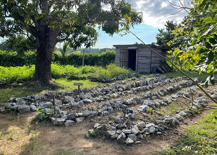 Chichimbel, un proyecto comunitario consolidado en Pinar del Río Un espacio dedicado a la siembra de plantas aromáticas y comestibles