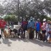 Una feria por el bienestar animal en Pinar del Río Una feria por el bienestar animal