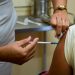 Avanza dosis de refuerzo en Consolación del Sur Avanza dosis de refuerzo en Consolación del Sur