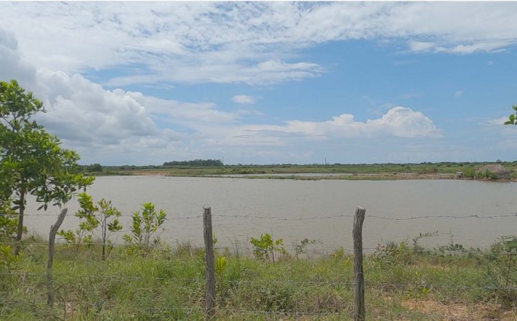 Recorrió Machado Ventura polo productivo Hermanos Barcón en Pinar del Río El fomento de la cría de peces de agua dulce es uno de los retos que enfrenta la Empresa ABT Pinar del Río.