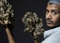 El síndrome del hombre-árbol Foto: tomada de El País