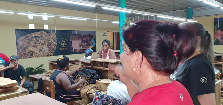Buró Provincial del Partido realizó visita a Mantua Buró Provincial del Partido realizó visita a Mantua