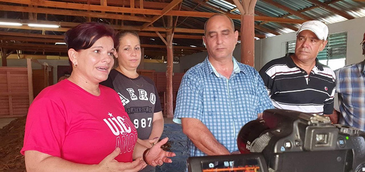 Buró Provincial del Partido realizó visita a Mantua Buró Provincial del Partido realizó visita a Mantua
