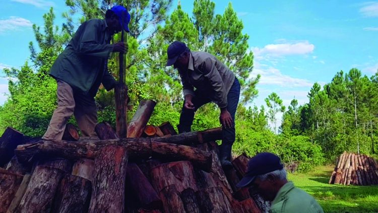 Pablo Pimienta Castro, el carbonero, es un ser de los bosques.