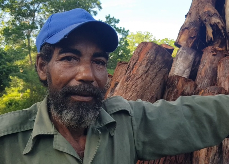 Mantua: Pablo y el solitario oficio del carbonero Pablo Pimienta Castro, el carbonero, es un ser de los bosques.