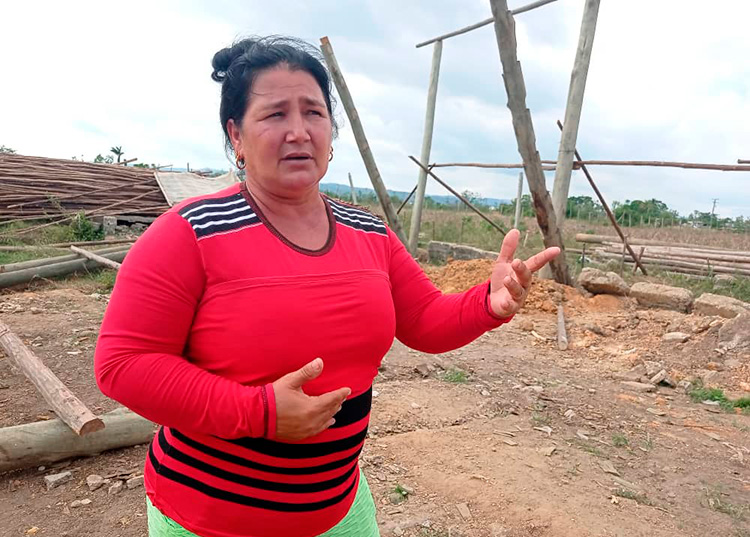 Mujer que vence tempestades en Pinar del Río “Obtener buena capa de exportación requiere de muchos ‘poquitos’ y mucha exigencia”, afirma Maribel / Foto: Jaliosky Ajete Rabeiro